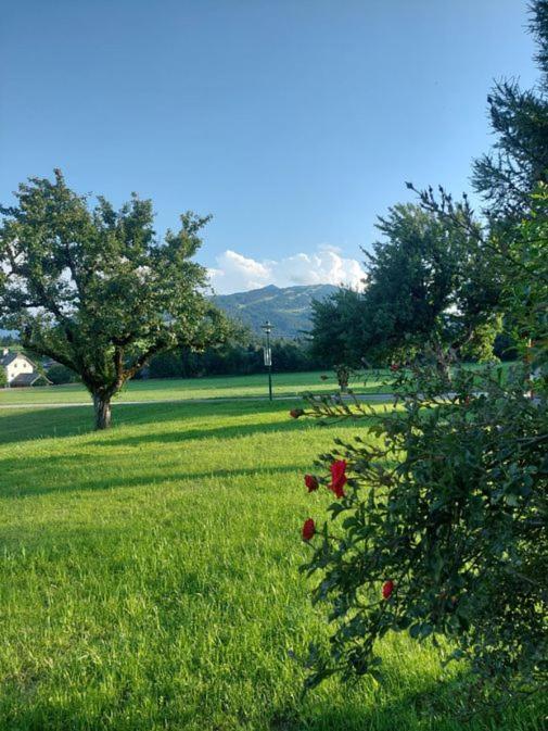 Aignerhof Apartment Flachau Bagian luar foto